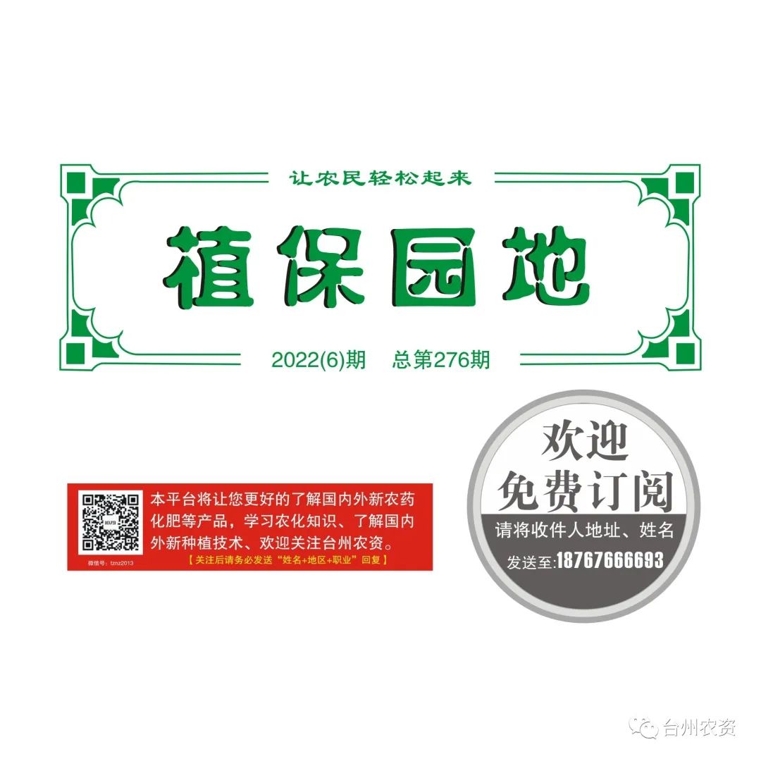 梅雨季節(jié)來臨，柑橘即將穩(wěn)果，注意管理好夏梢，合理施肥打藥