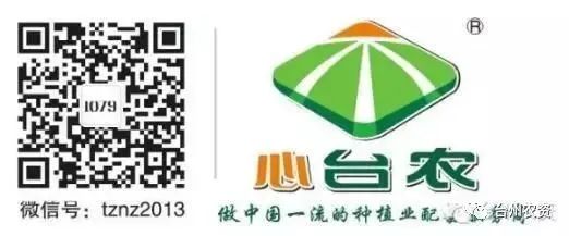 果實(shí)接近成熟，警惕柑橘表面各種油胞病